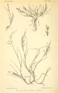 n209_w1150