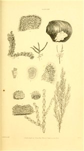 n202_w1150