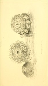 n170_w1150