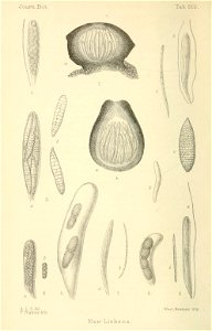 n51_w1150