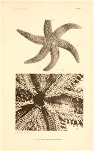 n208_w1150
