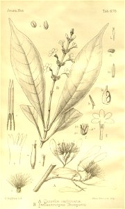 n253_w1150