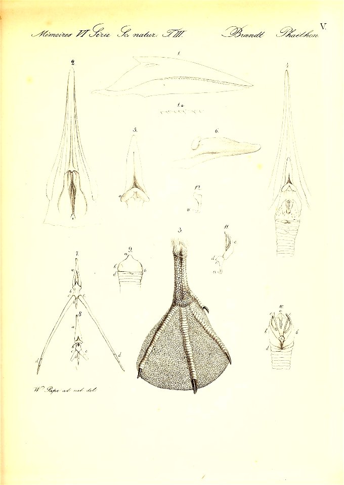 n56_w1150