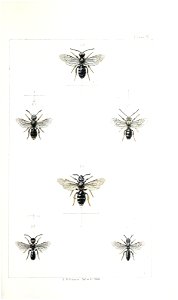 n406_w1150