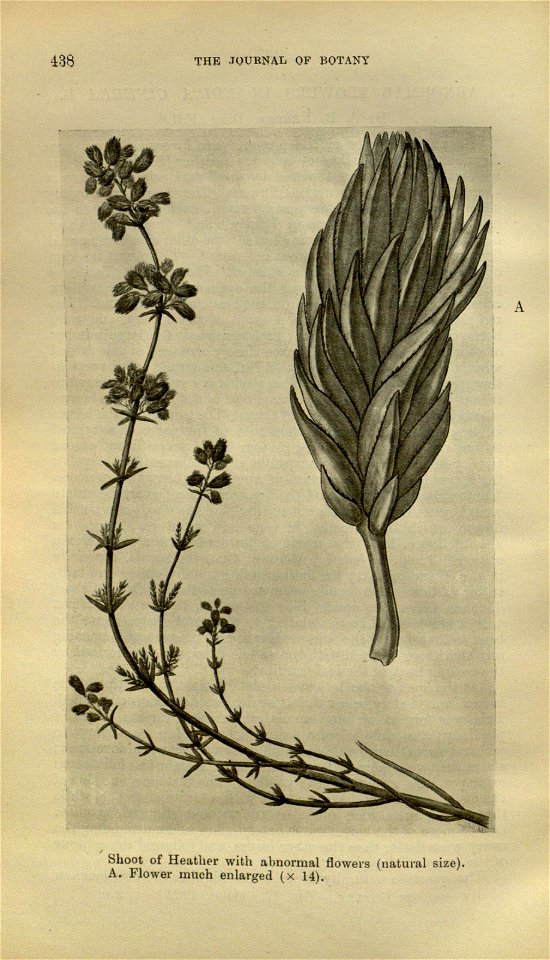n490_w1150