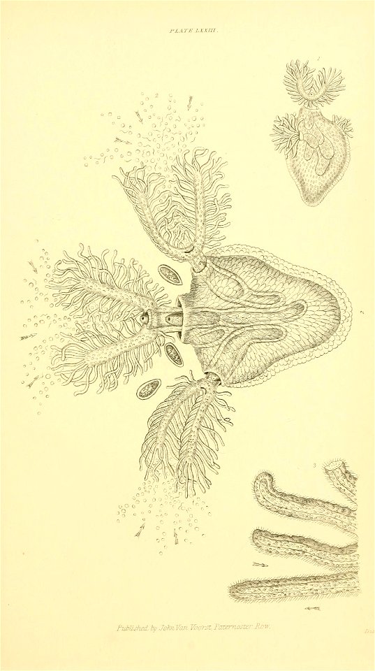 n298_w1150