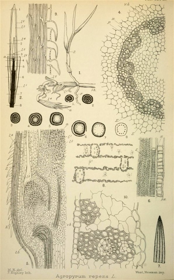 n363_w1150