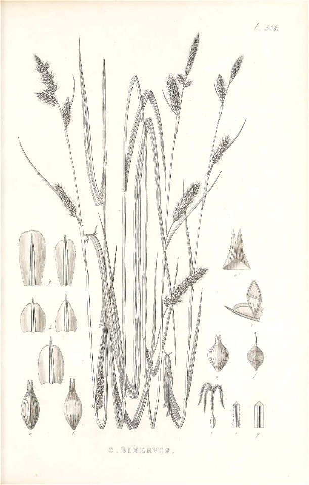 n370_w1150