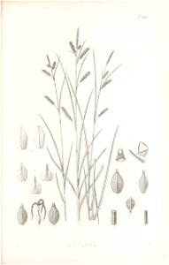 n190_w1150