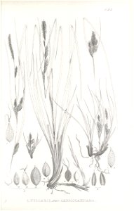 n428_w1150