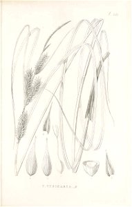 n368_w1150