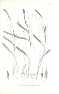 n398_w1150