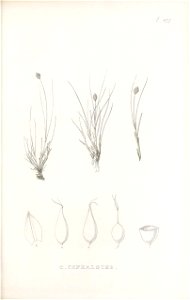 n248_w1150