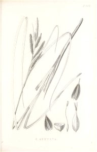 n188_w1150