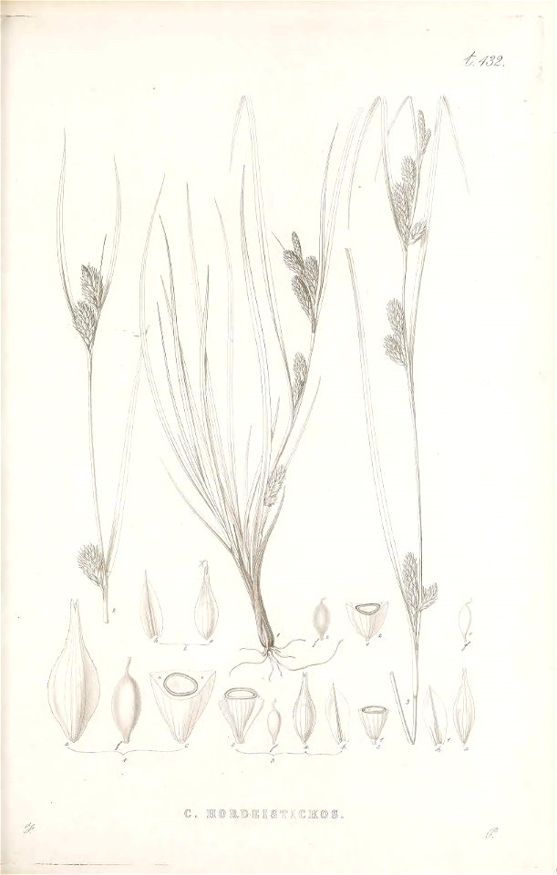 n158_w1150