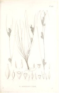 n158_w1150