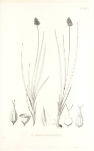 n214_w1150