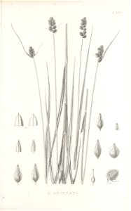 n154_w1150