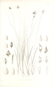 n124_w1150