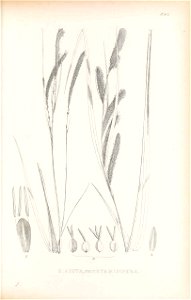 n396_w1150