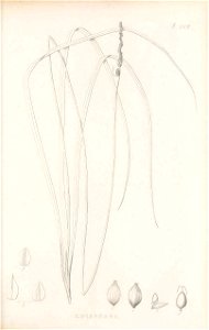 n306_w1150