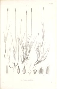 n216_w1150