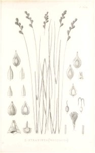 n182_w1150