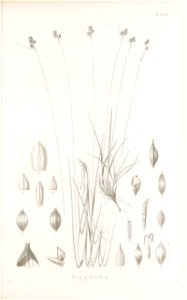 n122_w1150