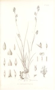 n62_w1150