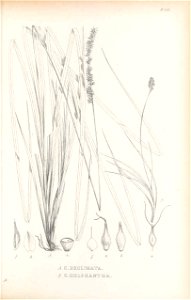 n454_w1150