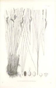 n424_w1150