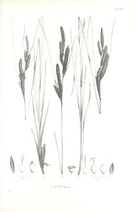 n394_w1150