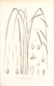 n304_w1150