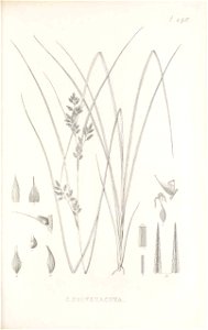 n274_w1150