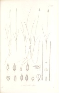 n214_w1150