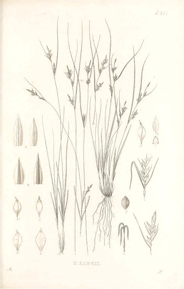 n122_w1150