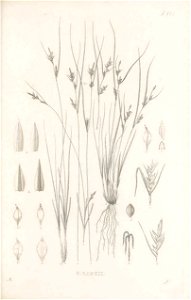 n122_w1150