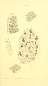 n274_w1150