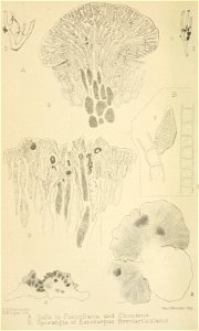 n57_w1150