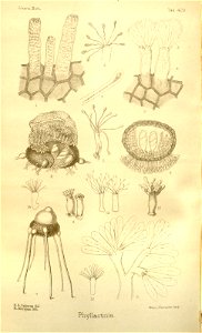 n513_w1150