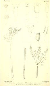 n311_w1150