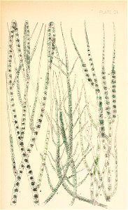 n196_w1150