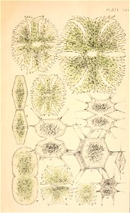n16_w1150