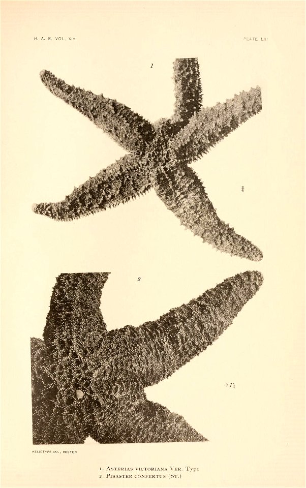 n216_w1150