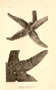 n216_w1150