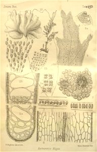 n127_w1150