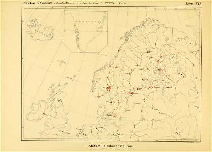 n232_w1150