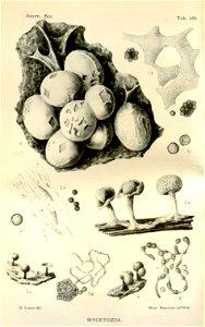 n137_w1150