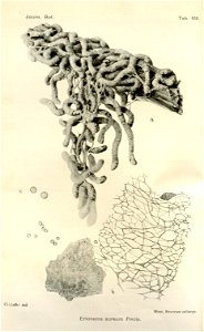 n104_w1150