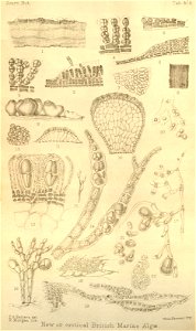 n419_w1150
